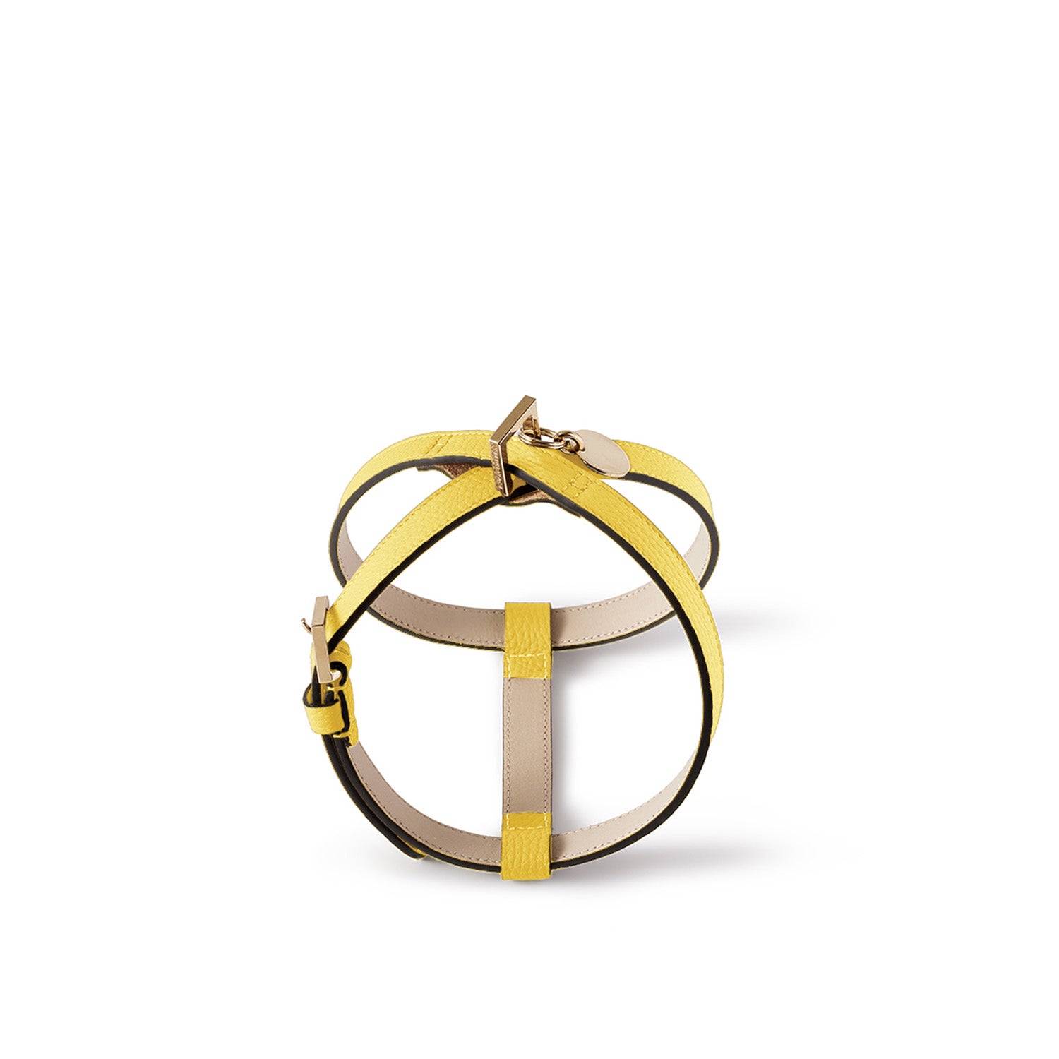 BONAVENTURA × FRIDA Firenze 애완 동물 하네스 (30) 수축 가죽