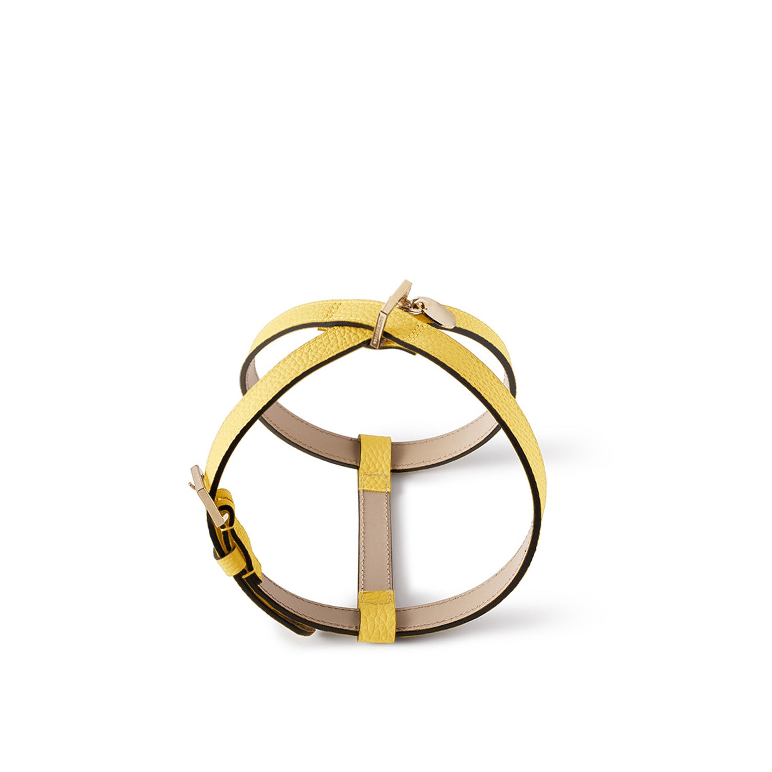 BONAVENTURA × FRIDA Firenze Pet Harness Shrink Leather (35)