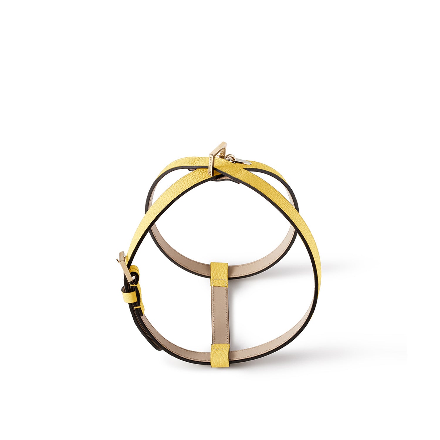 BONAVENTURA × FRIDA Firenze ペット ハーネス (45) シュリンクレザー