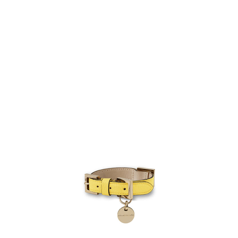 BONAVENTURA × FRIDA Firenze Collar for Pets Shrink Leather
