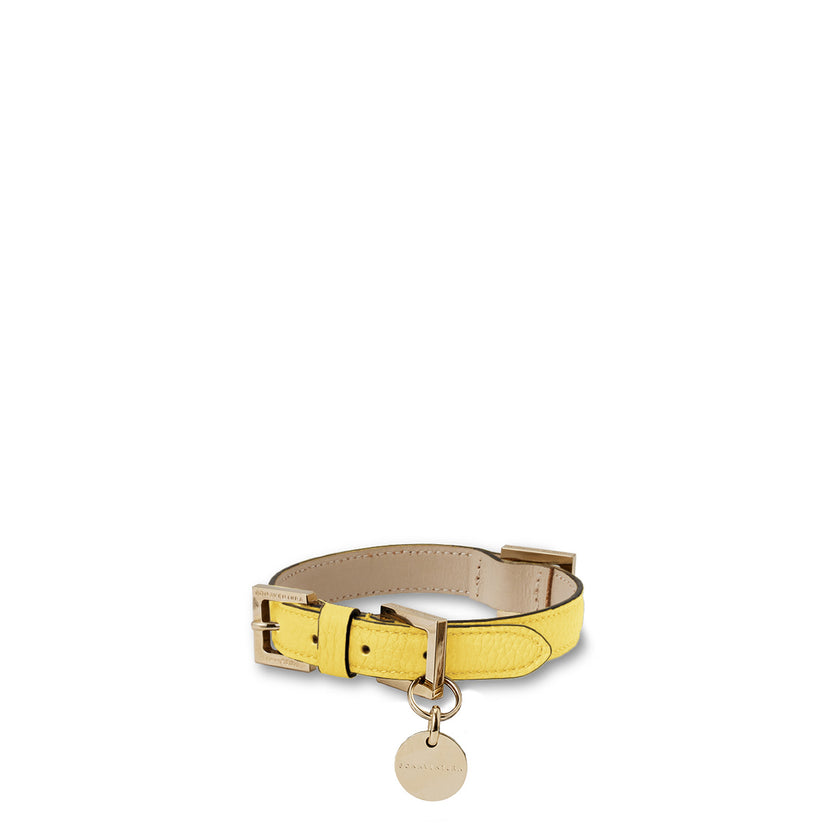 Bonaventura × Frida Firenze Pet Collar Bottalato Leather 35
