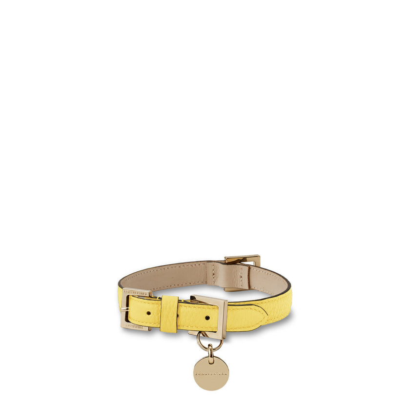 Bonaventura × Frida Firenze Pet Collar Bottalato Leather 40