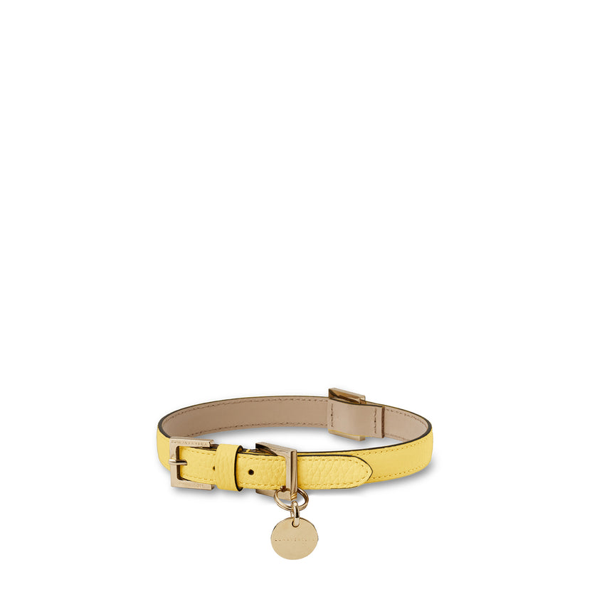 Bonaventura × Frida Firenze Pet Collar Bottalato Leather 45