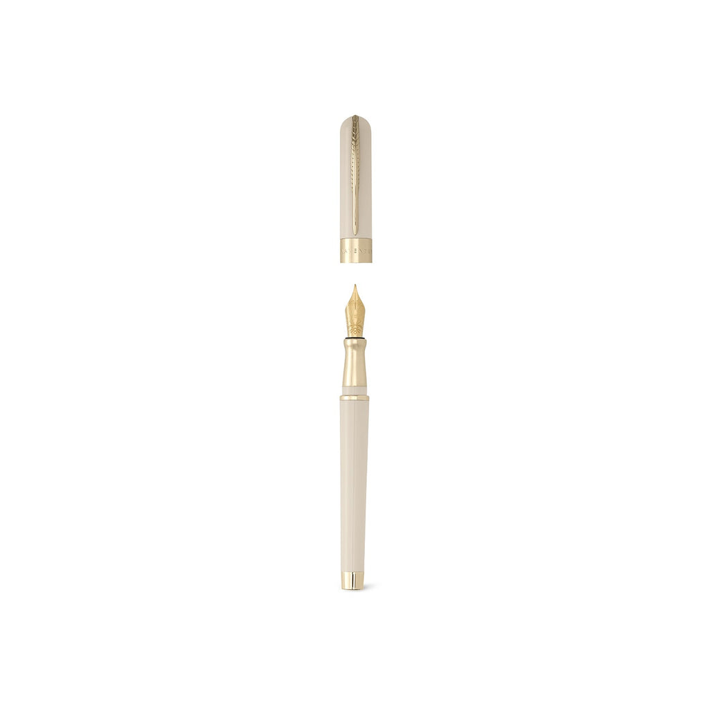 PINEIDER × BONAVENTURA Fountain Pen F (Ivory)