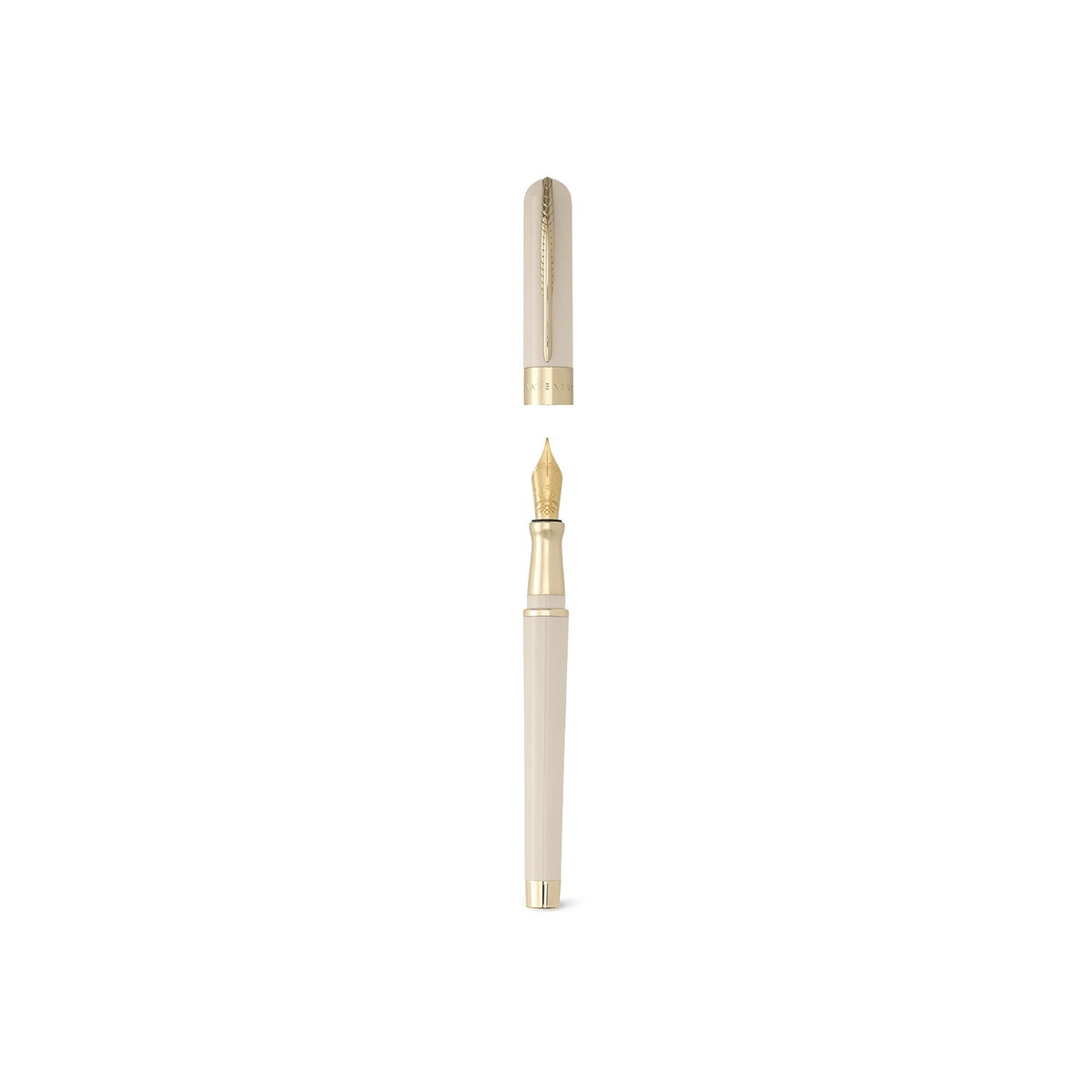 PINEIDER × BONAVENTURA Fountain Pen F (Ivory)