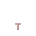 イニシャルレター (T)